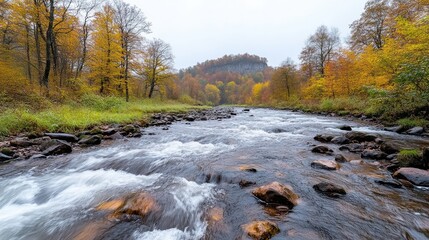 Autumn River Rocks and Trees Serene Landscape High-resolution Wide Angle View Flowing Water Autumnal Forest Cool Moody Tones Nature Photography