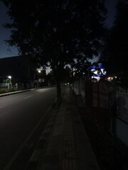 A Serene Urban Pathway