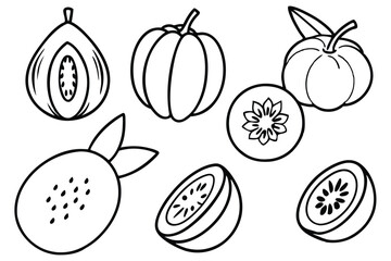 lucuma line art depiction of fresh fruit pattern