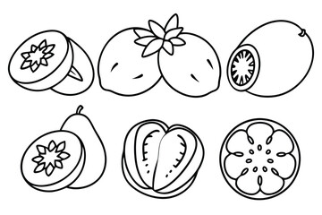 mamey sapote line art organic fruit design outline