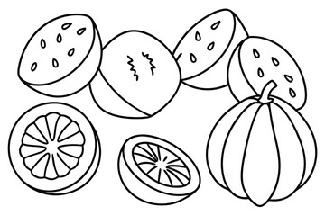 mamey sapote line art simple botanical sketch design