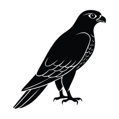 Falcon Silhouette Vector | Black and White Falcon Bird Illustration Design