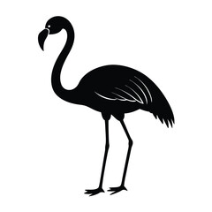 Flamingo Silhouette Vector Art and Black and White Flamingo Bird Illustration