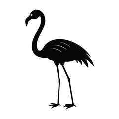 Flamingo Silhouette Vector Art and Black and White Flamingo Bird Illustration