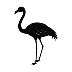 Flamingo Silhouette Vector Art and Black and White Flamingo Bird Illustration