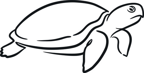 Fototapeta premium hand draw turtle vector design mono color