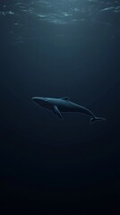 Obraz premium Whale swimming in dark ocean depths, with sunlight rays filtering through; use for environment concept