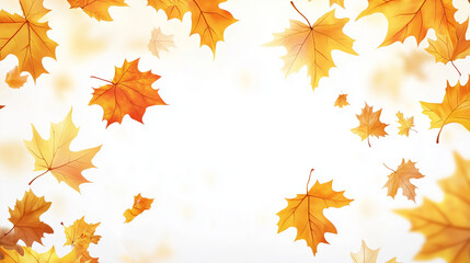 Obraz premium Banner design with falling golden yellow maple leaves, with clearly visible texture on each leaf