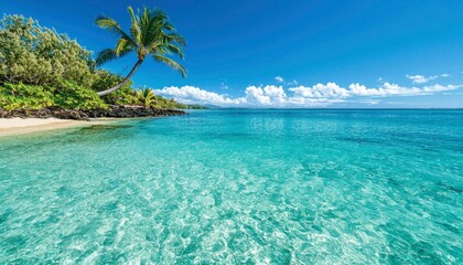 Fototapeta premium Tropical beach paradise. Tranquil turquoise water