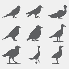 set of birds silhouettes