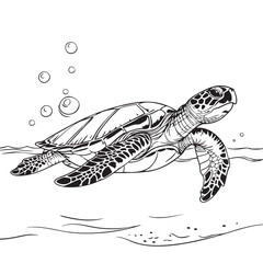 Fototapeta premium vector illustration of a turtle