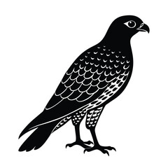 Goshawk Silhouette Vector | Black and White Goshawk Bird Illustration | Hawk Clipart Design