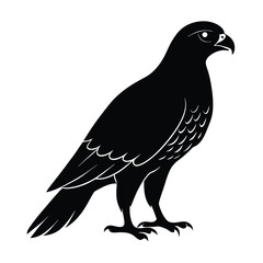 Goshawk Silhouette Vector | Black and White Goshawk Bird Illustration | Hawk Clipart Design