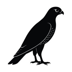 Goshawk Silhouette Vector | Black and White Goshawk Bird Illustration | Hawk Clipart Design