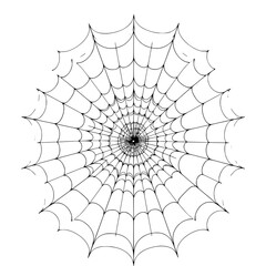 Obraz premium Intricate Spiderweb: A detailed and symmetrical spiderweb, captured in a precise overhead shot, showcases the spider's skill in a display of artistic geometry.