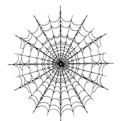 Fototapeta premium Spiderweb's intricate design: A symmetrical spiderweb, a testament to nature's geometry and arachnid craftsmanship, is rendered in stark monochrome detail.