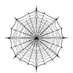 Obraz premium Black and white illustration of a detailed spider web with radiating lines and concentric circles on a white background.