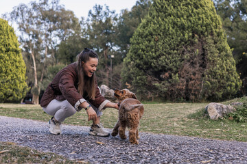 Woman shares joyful moment with her cocker spaniel in the park during a sunny afternoon