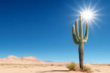 Saguaro cactus standing in the desert under the scorching sun