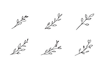 Willow Leaf line art illustration