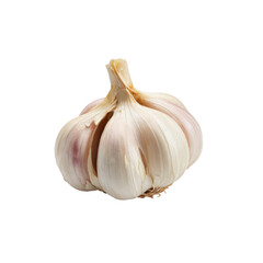 Obraz premium garlic bulb isolated on white background