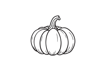 Pumpkin line art illustration