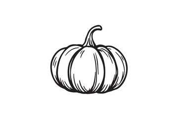 Pumpkin line art illustration