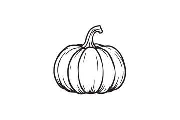 Pumpkin line art illustration