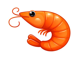 Playful Glossy Cartoon Shrimp Character – Vibrant Mascot Design
