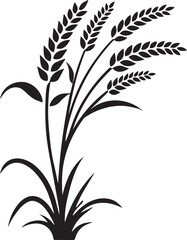 rice peddy ears flat vector illustration isolated on white background
