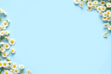 white flowers on a blue background