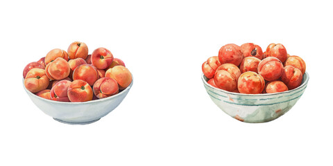 bowl of peaches watercolor vector illustration