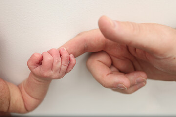 Close-up little hand of child and palm of mother and father. The newborn baby has a firm grip on the parent's finger after birth. A newborn holds on to mom's, dad's finger. 