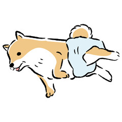 おむつを着用するシニア犬の手描きイラスト