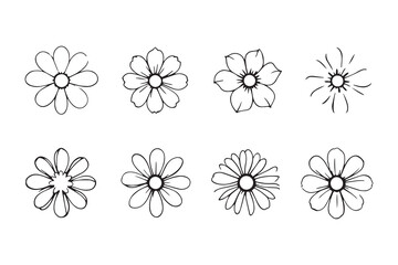 Floral line art illustration