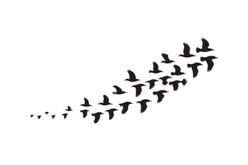 Bird Flock Flying Silhouette – Abstract Migration Art