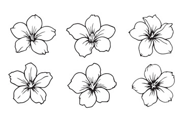 Obraz premium Hawaiian Flower line art illustration