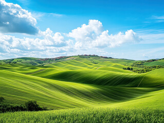 Obraz premium Serene hillside landscape with rolling green fields and blue sky