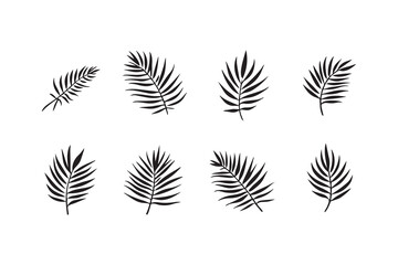 Palm Leaf line art illustration