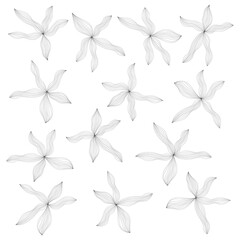 Painted flowers outline isolated on white background, vector design