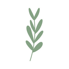 plant vector illustration