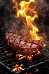 grilled meat on the grill