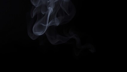 Fototapeta premium Abstract White Smoke on Black Background