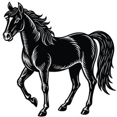 The black horse stallion silhouette vector illustration shows a running equine animal