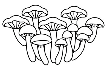 Chanterelles The Art of Cooking with Wild Fungi