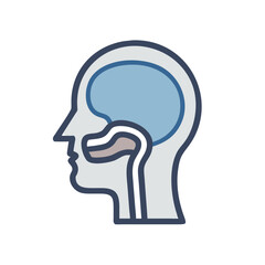 Head with Esophagus and Trachea Icon Design