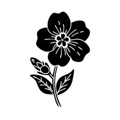 veronica speedwell flower icon, veronica speedwell flower vector