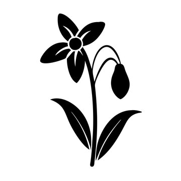 recommend clip art: snowdrop flower icon, snowdrop flower silhouette vector illustration-simple silhouette illustration of snowdrop flower, perfect for snowdrop flower logos and icons