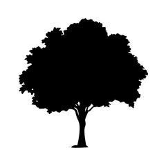 beech tree icon, beech tree silhouette vector illustration-simple silhouette illustration of beech tree, perfect for beech tree logos and icons