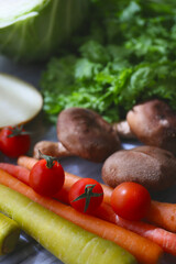 preparing a Japanese style currywith fresh meat, vegetables and curry roux; home cooking